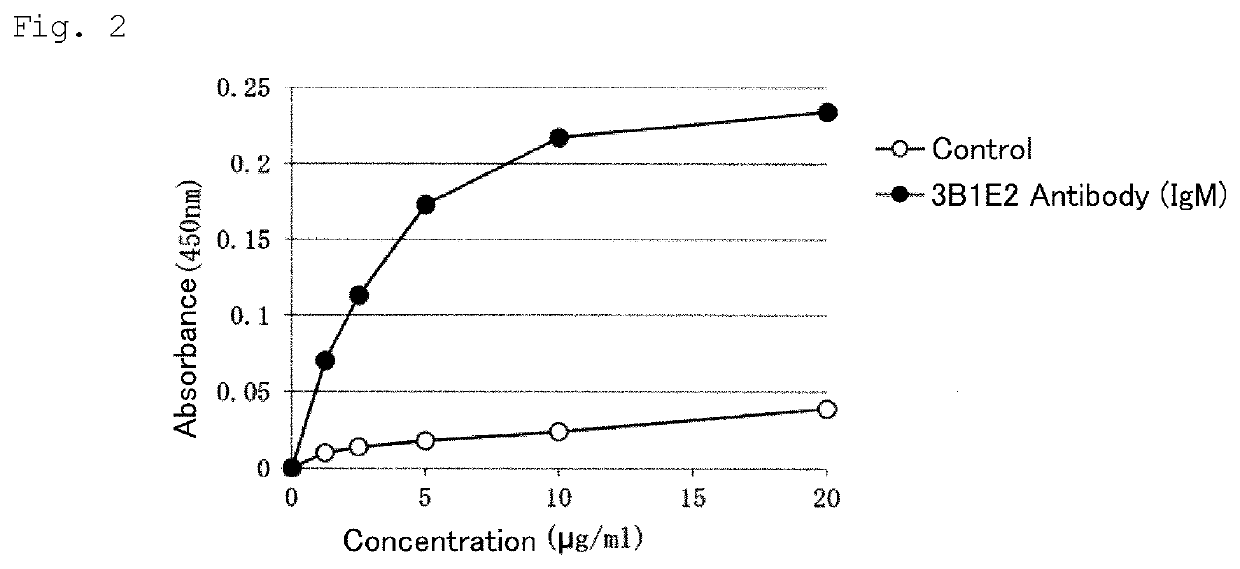 Antibody and functional fragment thereof