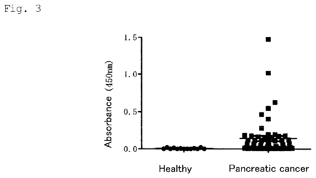 Antibody and functional fragment thereof