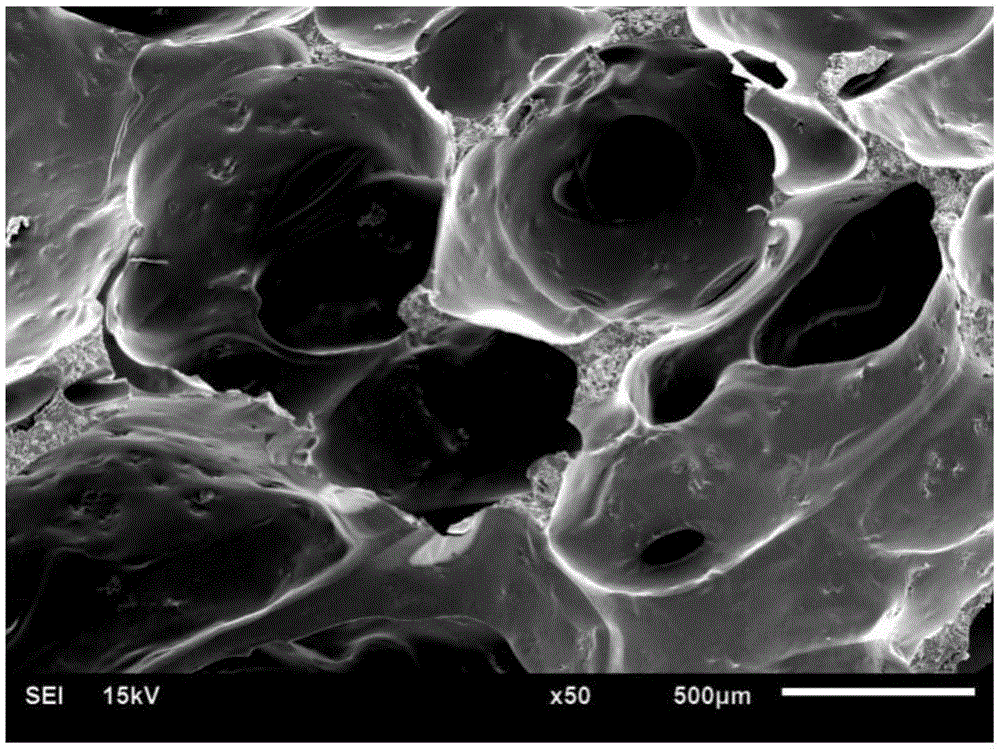 Preparation method of self-foaming porous composite bone repair bracket