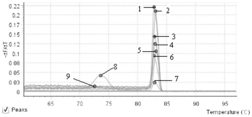 A fox retrovirus sybr Green Ⅰ fluorescent RT-PCR kit and its application method