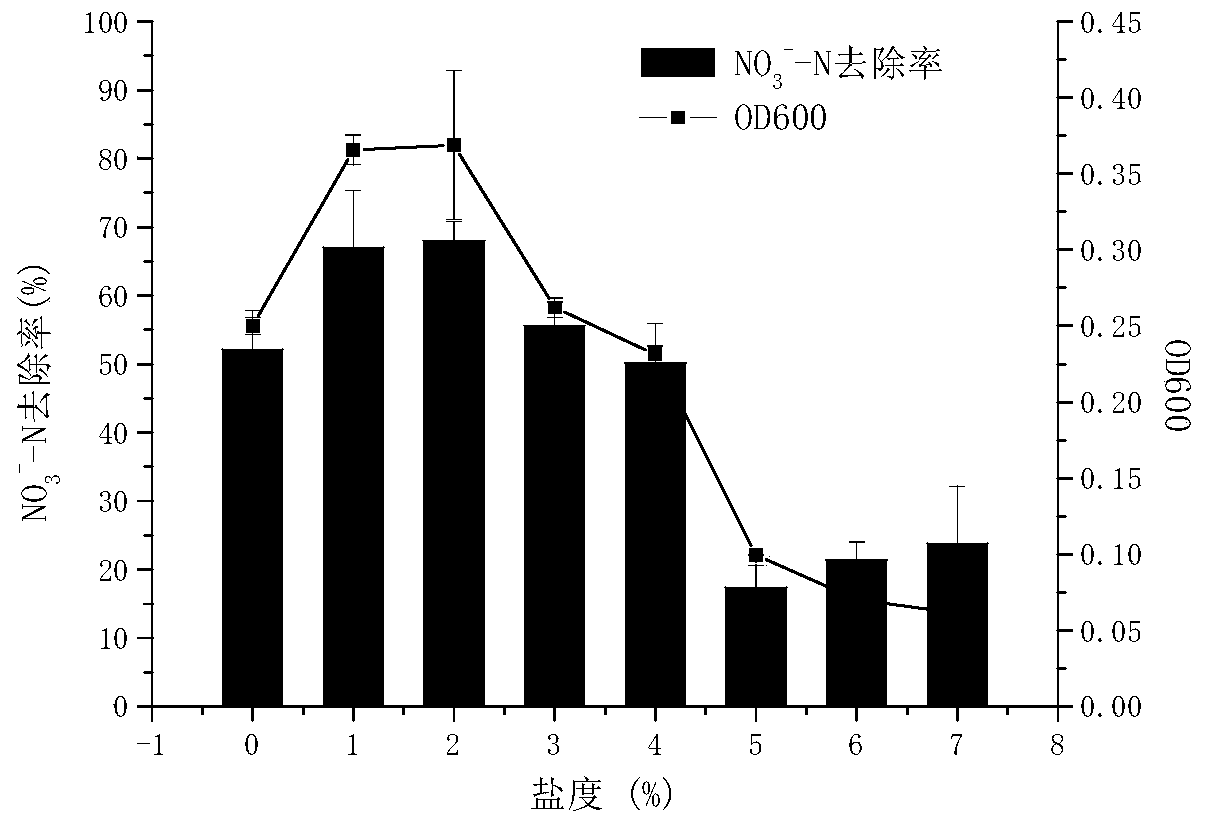 A strain of sea bacterium with aerobic denitrification ability and its application