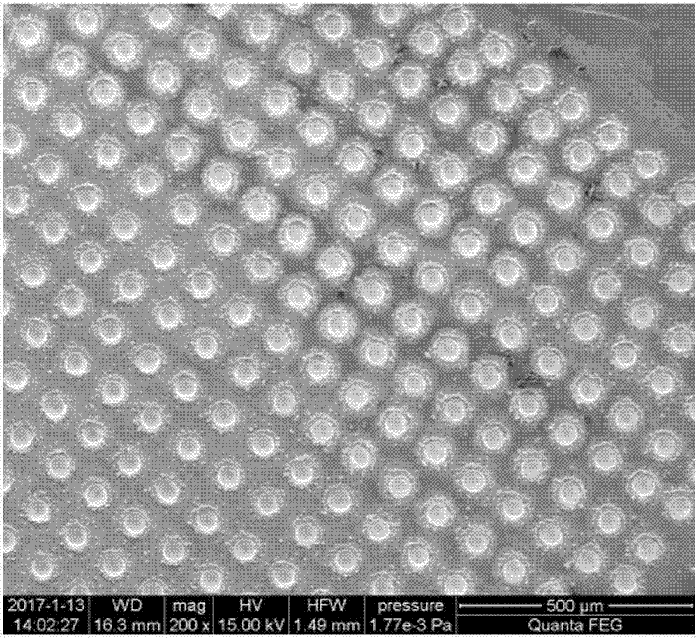 Ordered pore array anode tantalum foil for tantalum capacitors and preparation method thereof