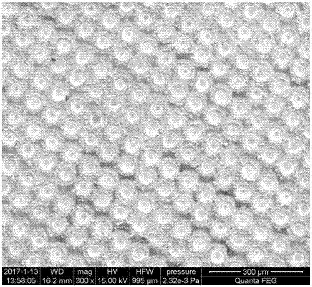 Ordered pore array anode tantalum foil for tantalum capacitors and preparation method thereof