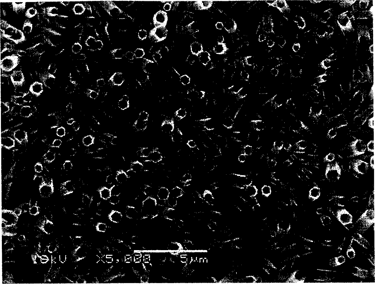 Method of growing nano-tube shaped zinc oxide by hydrothermal decomposition