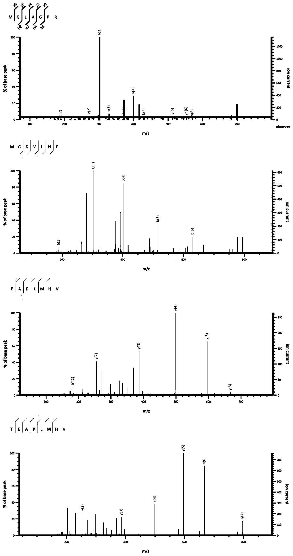 Octopus oligopeptide capable of promoting synthesis of breast casein and preparation method and application of octopus oligopeptide