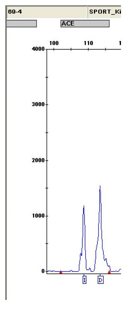 Fluorescence test kit for motor-function-related gene ACE (Angiotensin Converting Enzyme) and detection method