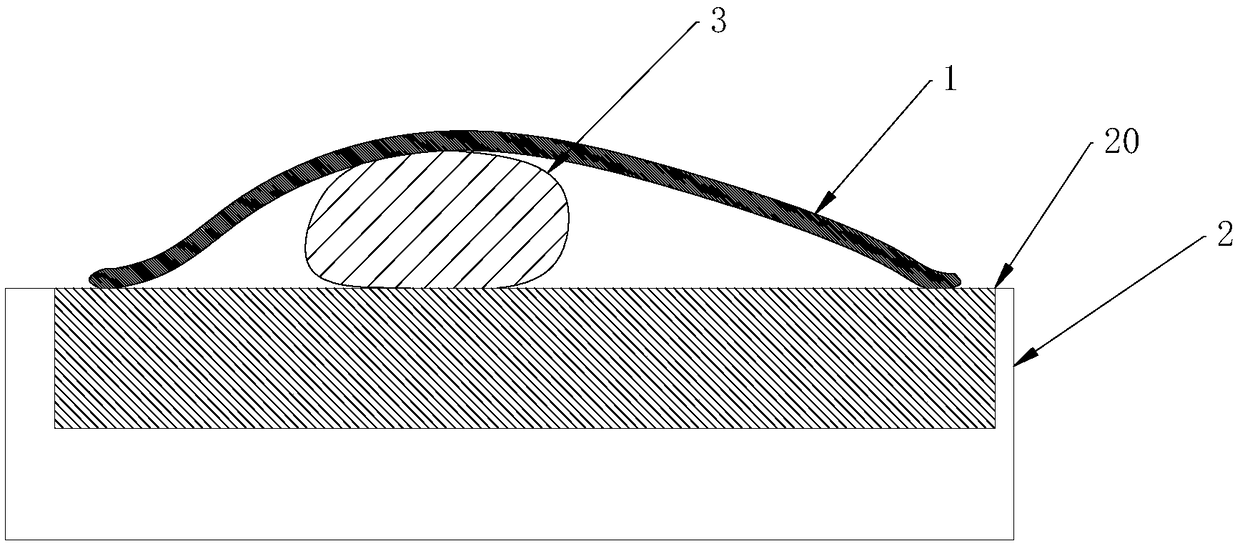 Magnetic quilt and living assembly thereof