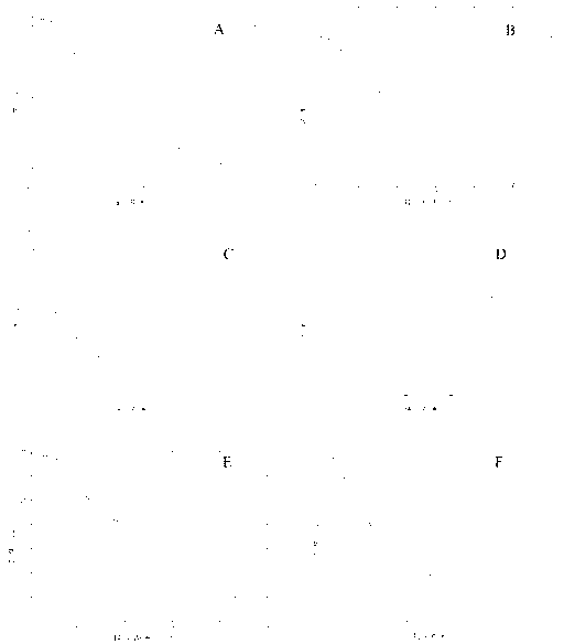 Filter tip trapped HCN concentration distribution pattern measuring method