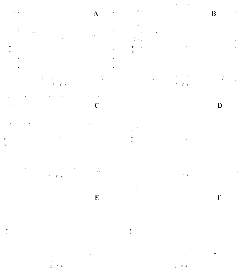 Filter tip trapped HCN concentration distribution pattern measuring method