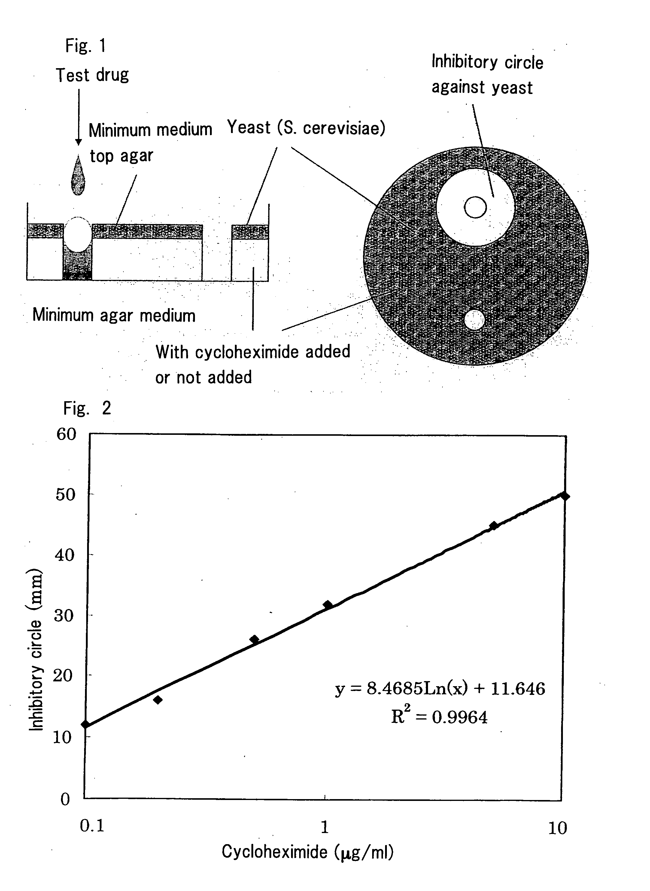 Abc Transporter Inhibitor