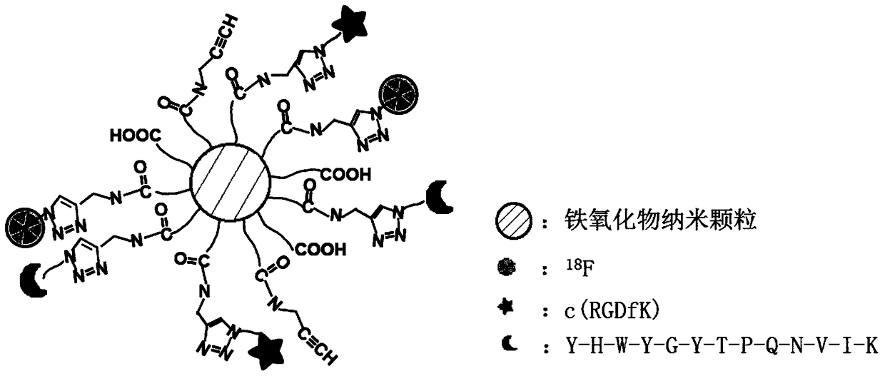 A tumor-targeted radioactive nanoparticle and its preparation method