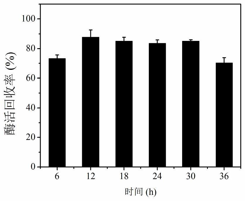 Modified epoxy resin immobilized enzyme and preparation method and application thereof