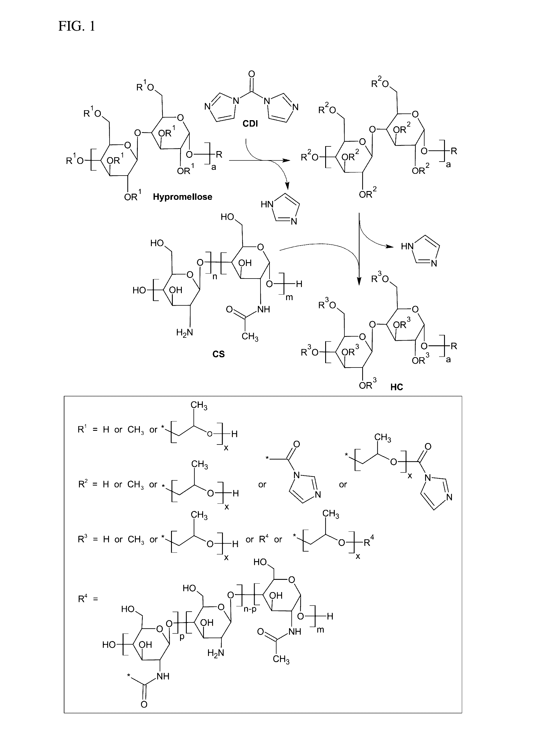 Hypromellose-graft-chitosan and methods thereof for sustained drug delivery