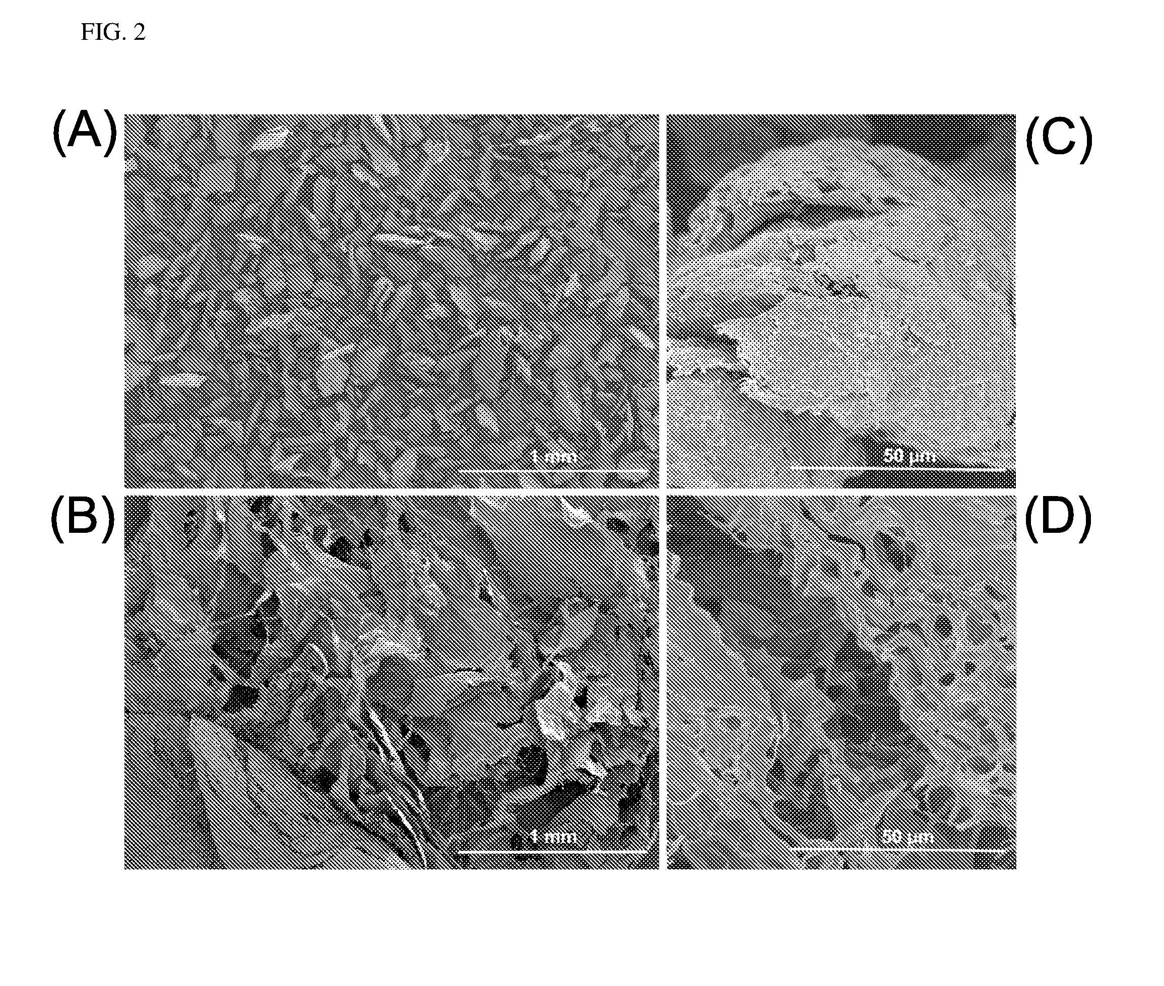 Hypromellose-graft-chitosan and methods thereof for sustained drug delivery