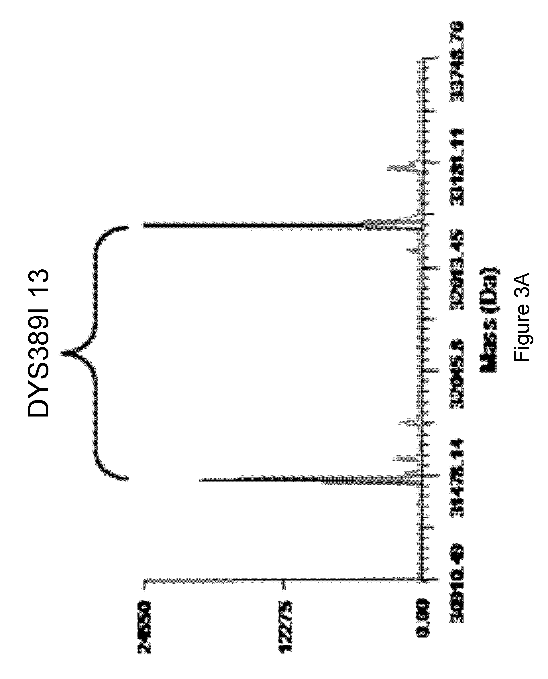 Methods For Rapid Forensic DNA Analysis