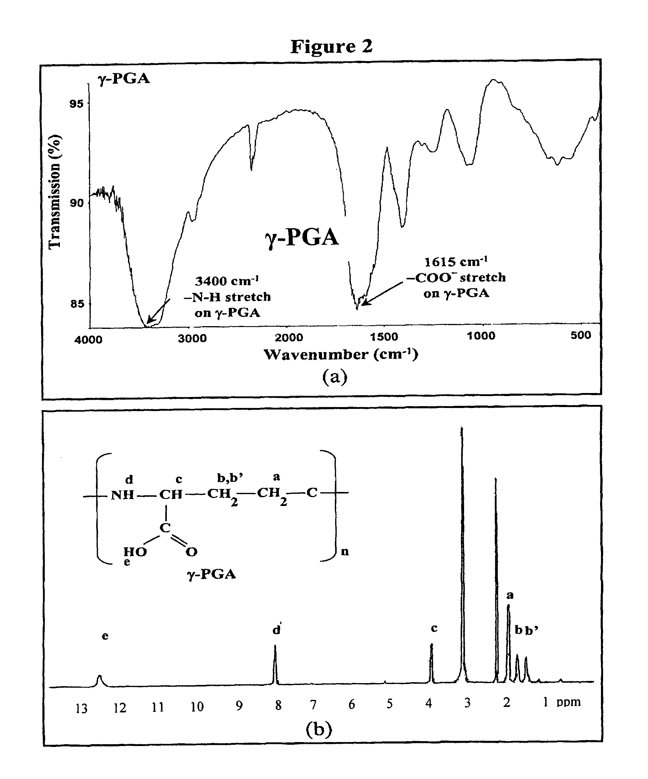 Nanoparticles for protein drug delivery