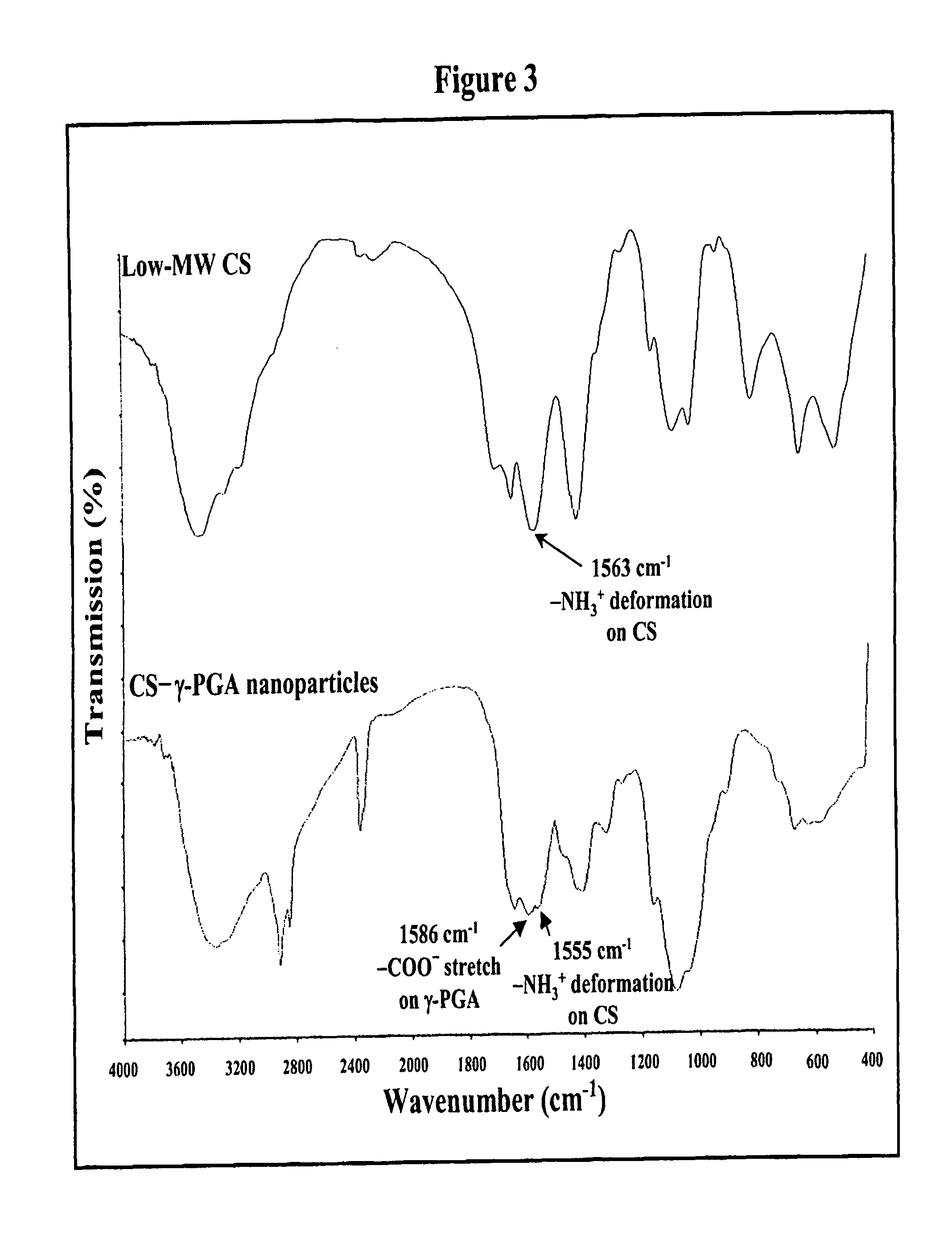 Nanoparticles for protein drug delivery