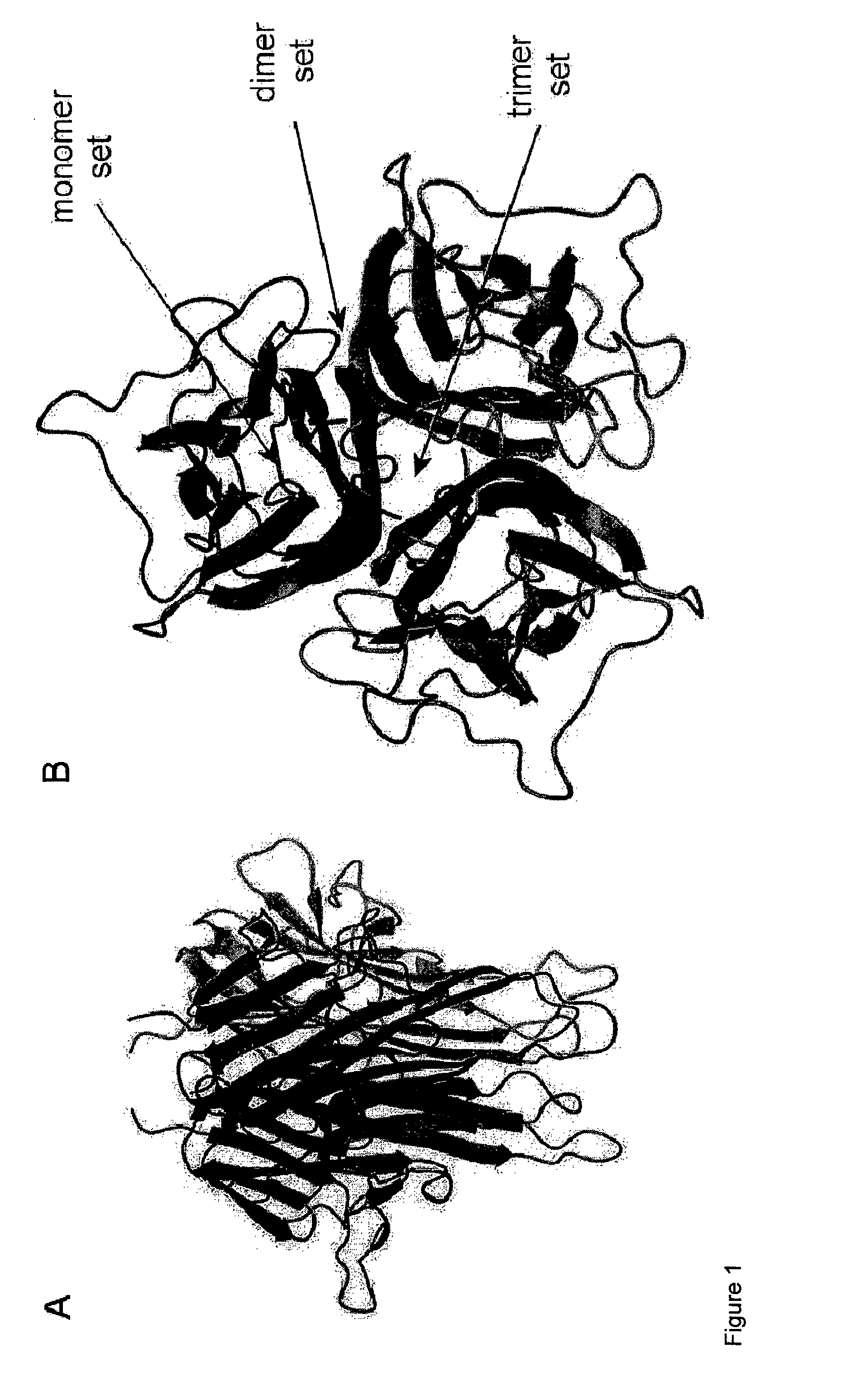 Cytokine design