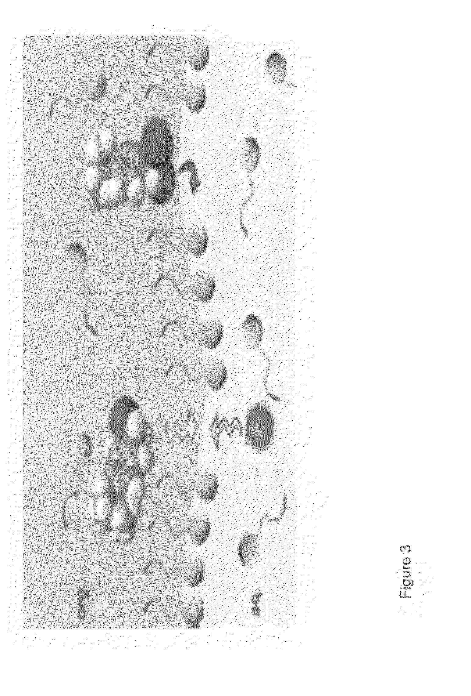 Electrochemically generated antimicrobial sodium hydroxide solution