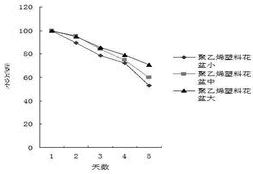 Method for breeding seedlings of grapes by using containers