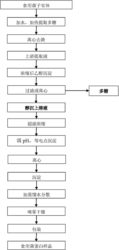 Method for recycling protein from supernatant obtained from edible fungus through polysaccharide extraction and alcohol precipitation