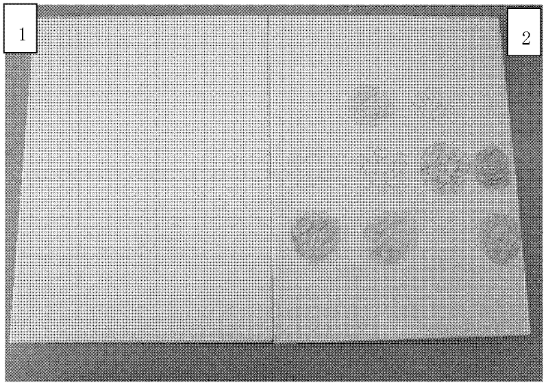 Waterborne scratch-resistant coating and preparation method thereof