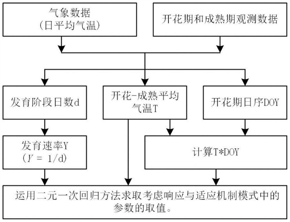 A simulation method of developmental period based on the response and adaptation mechanism of crops to the environment