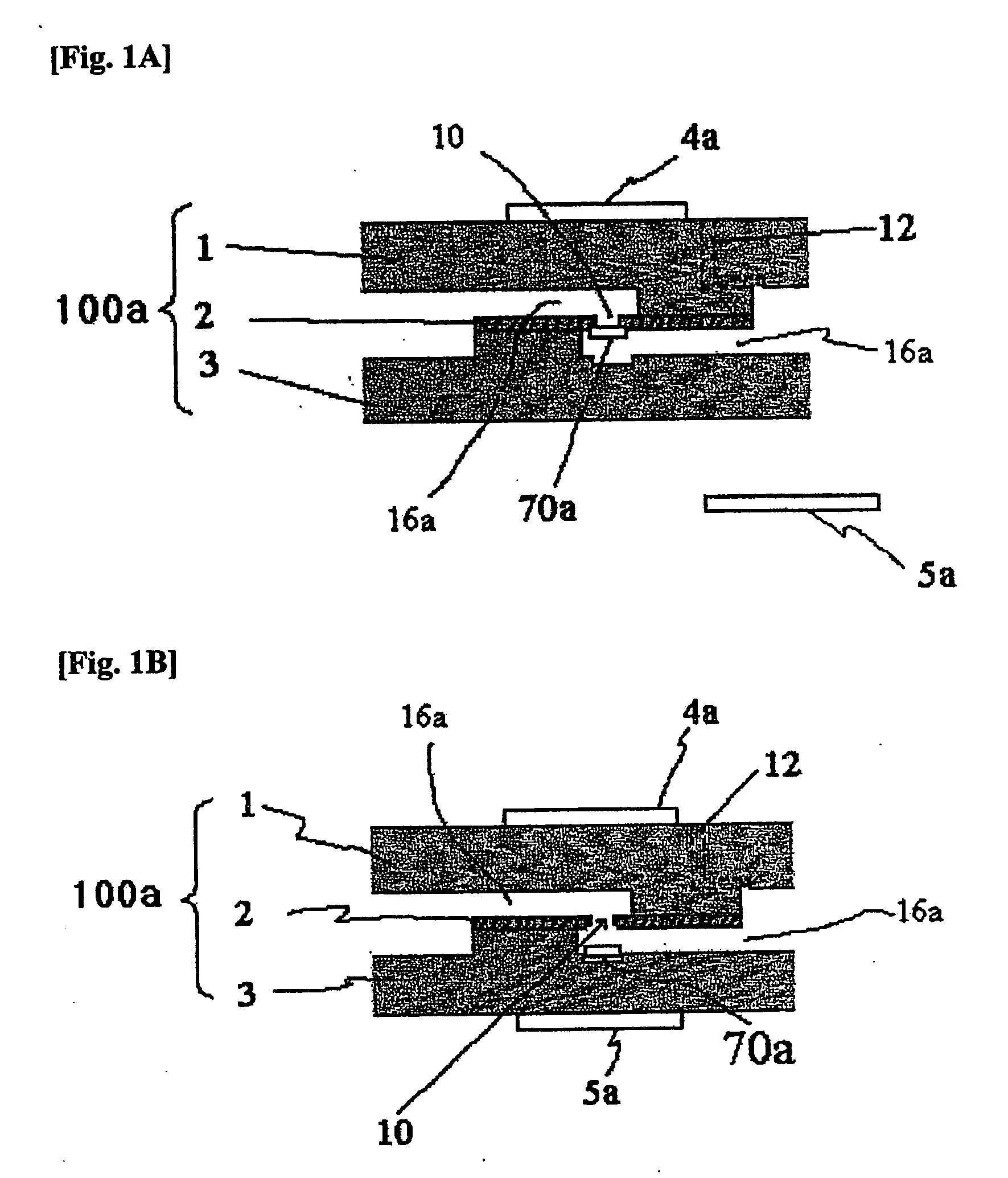 Bio memory disc and bio memory disc drive apparatus, and assay method using the same