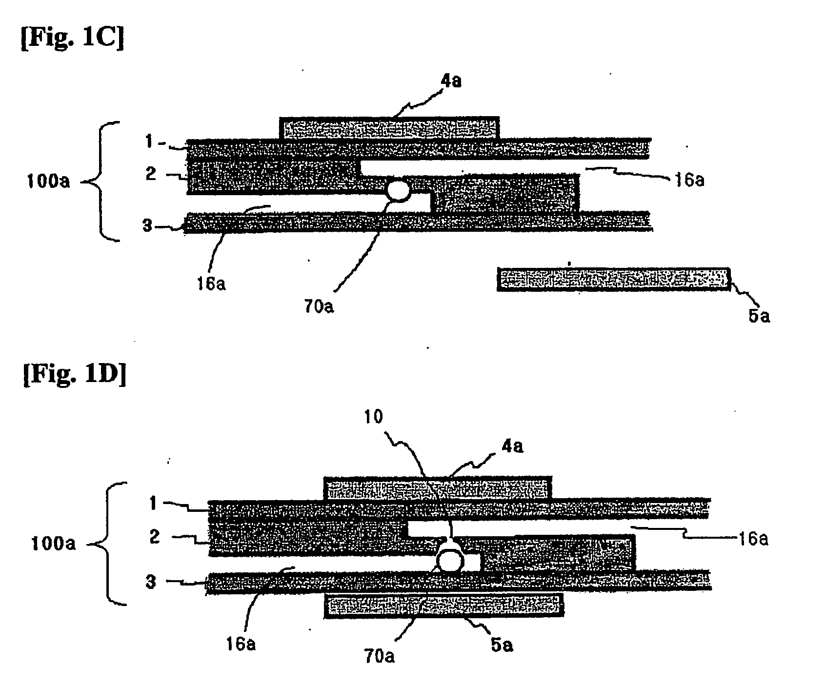 Bio memory disc and bio memory disc drive apparatus, and assay method using the same