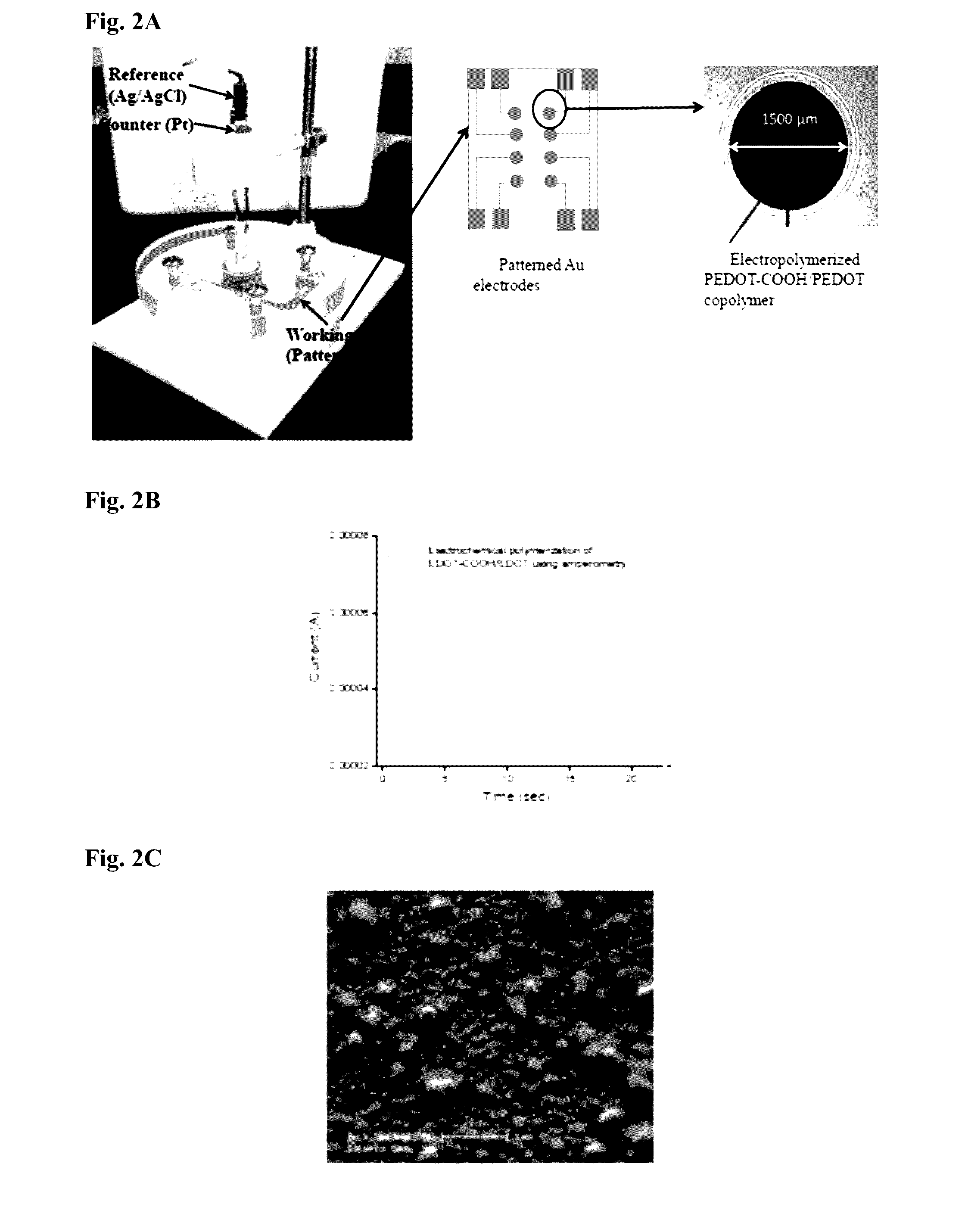 Conductive hydrogels for affinity sensing