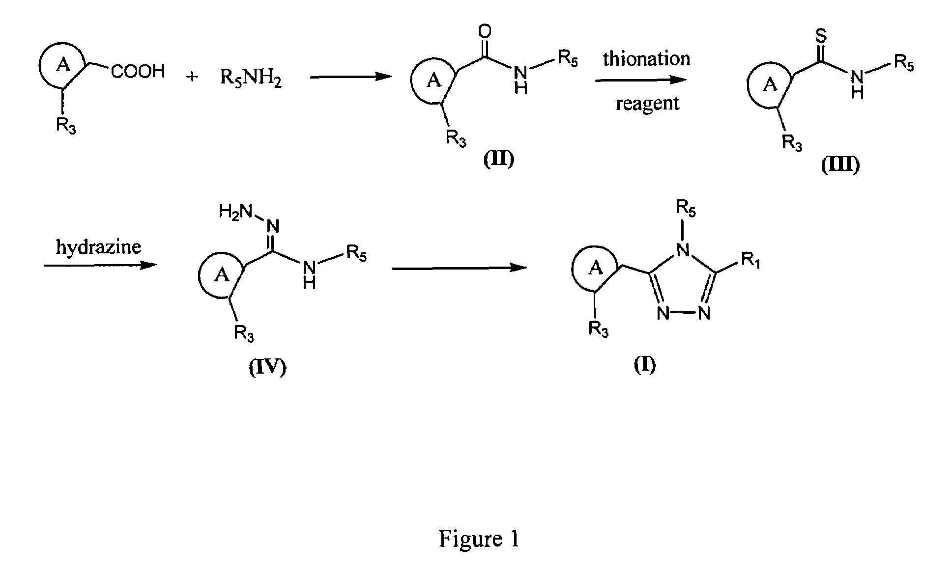 Synthesis of triazole compounds that modulate HSP90 activity