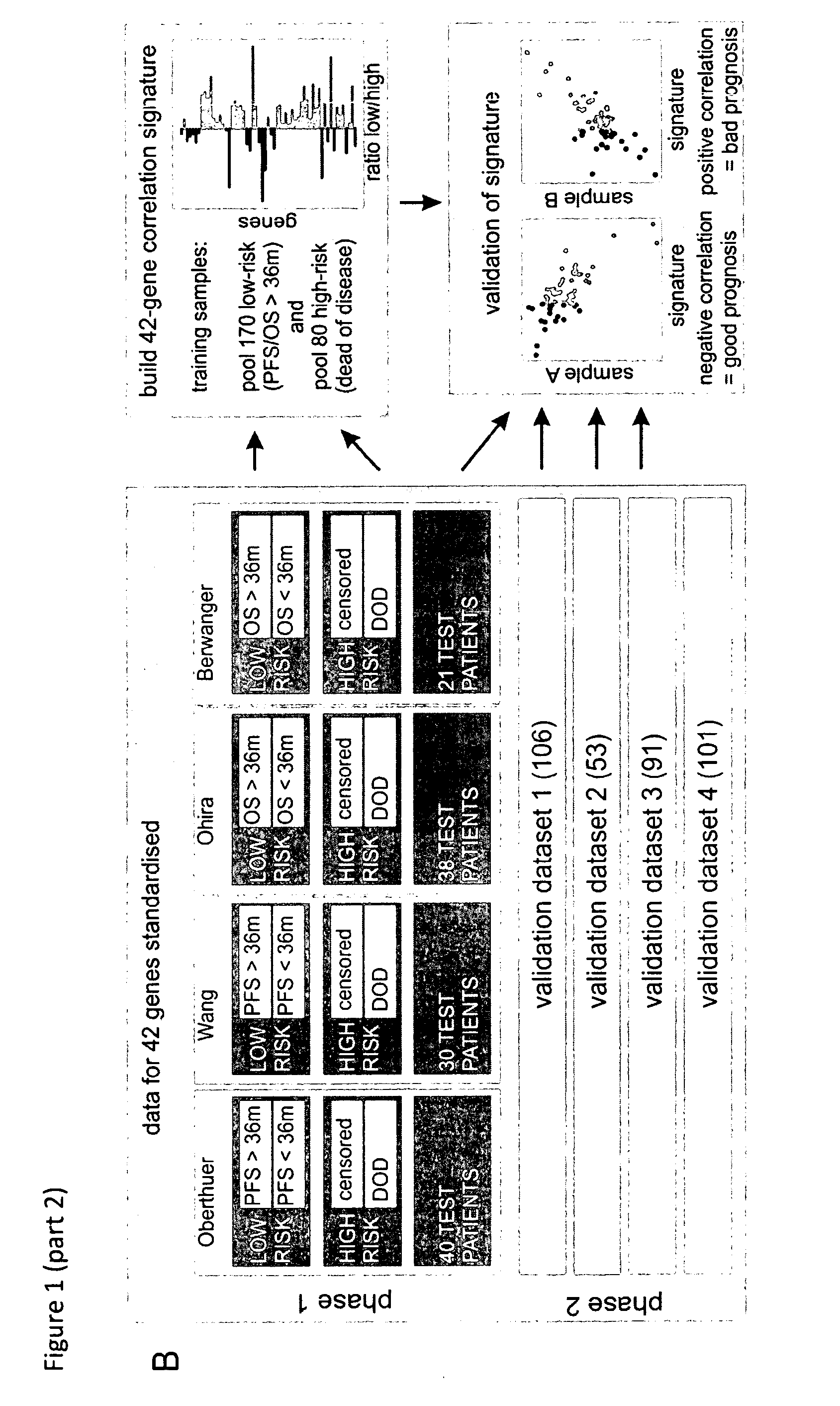 Neuroblastoma prognostic multigene expression signature