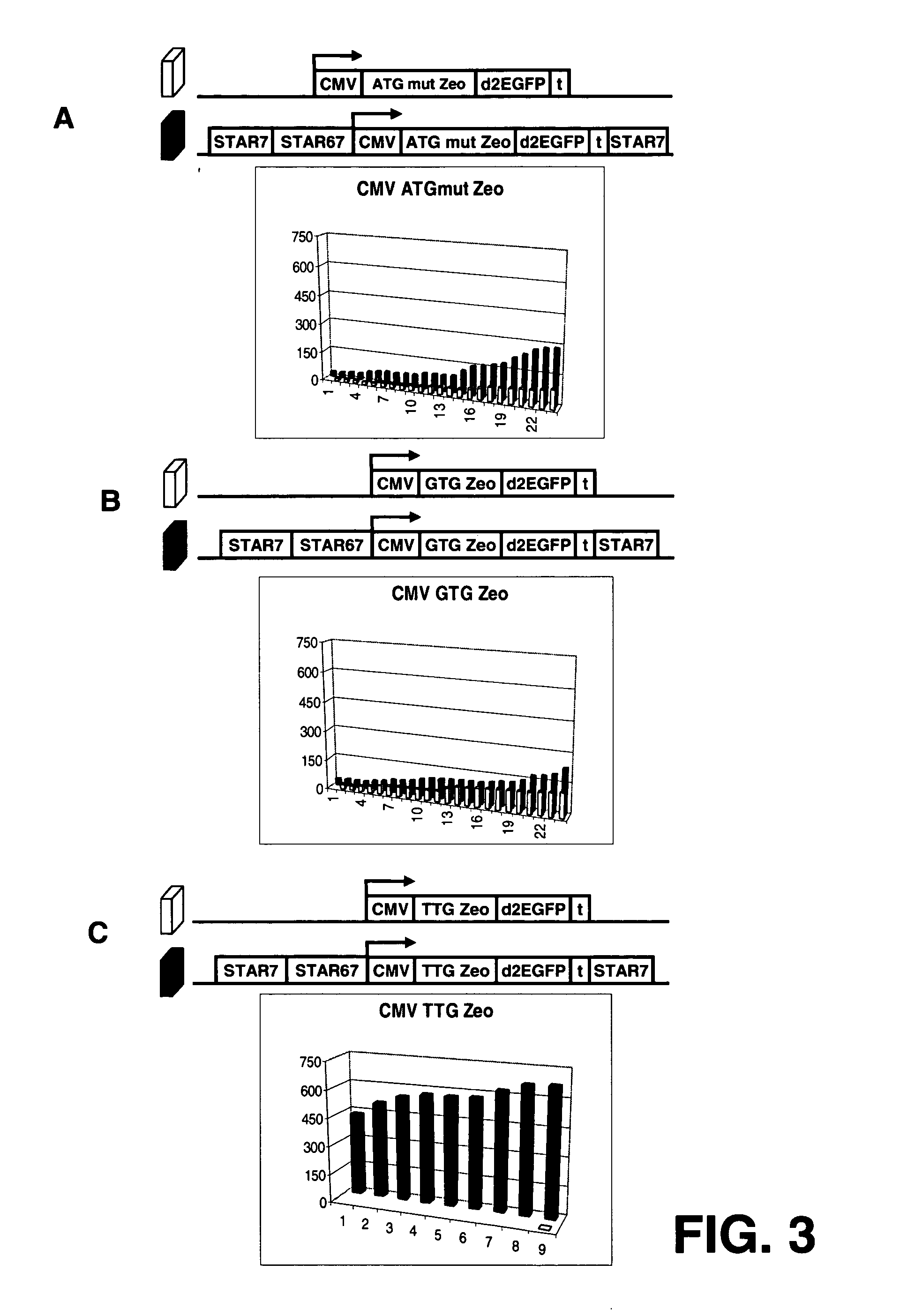 Selection of host cells expressing protein at high levels