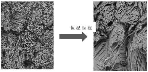 Preparation method of chromium-free leather