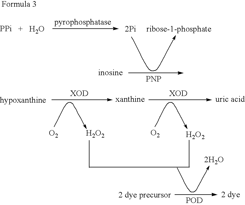 Method for detecting bacteria of the genus Mycobacterium (acid-fast bacteria) and kit for the same