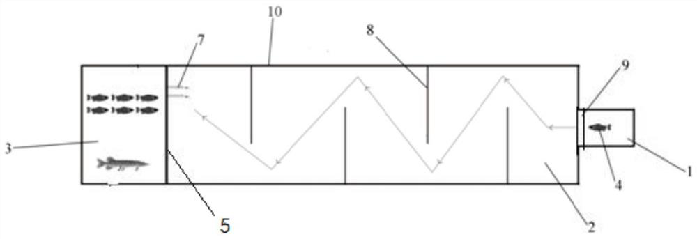 Experimental device and testing method for brave and exploration behaviors of fishes