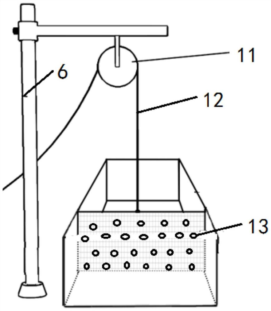 Experimental device and testing method for brave and exploration behaviors of fishes