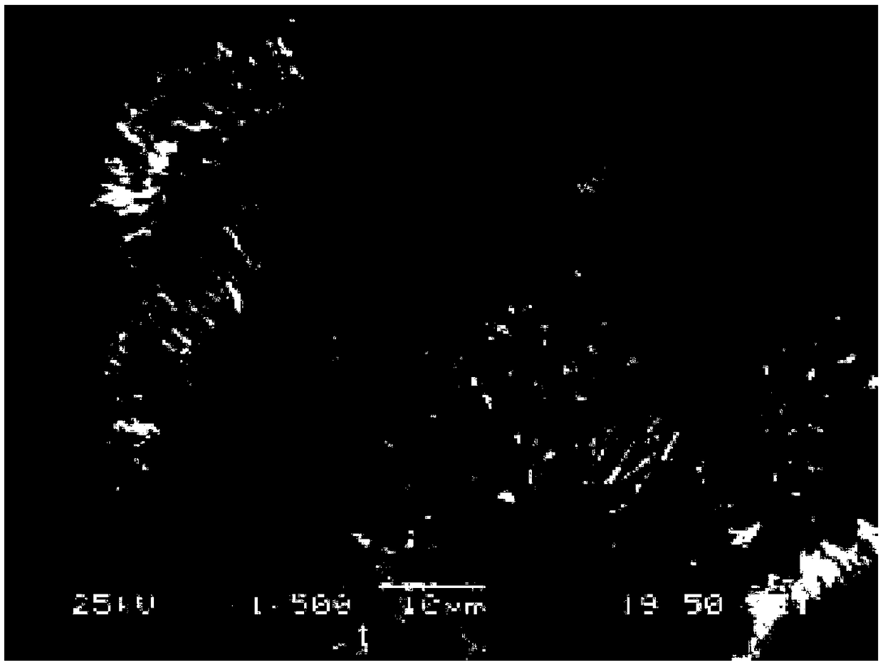 A kind of preparation method of composite cathode material of graphene/zinc oxide/graphene sandwich structure for field emission