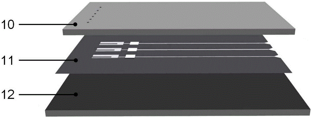 A scaled quantitative real-time diagnosis microfluidic chip and its preparation method