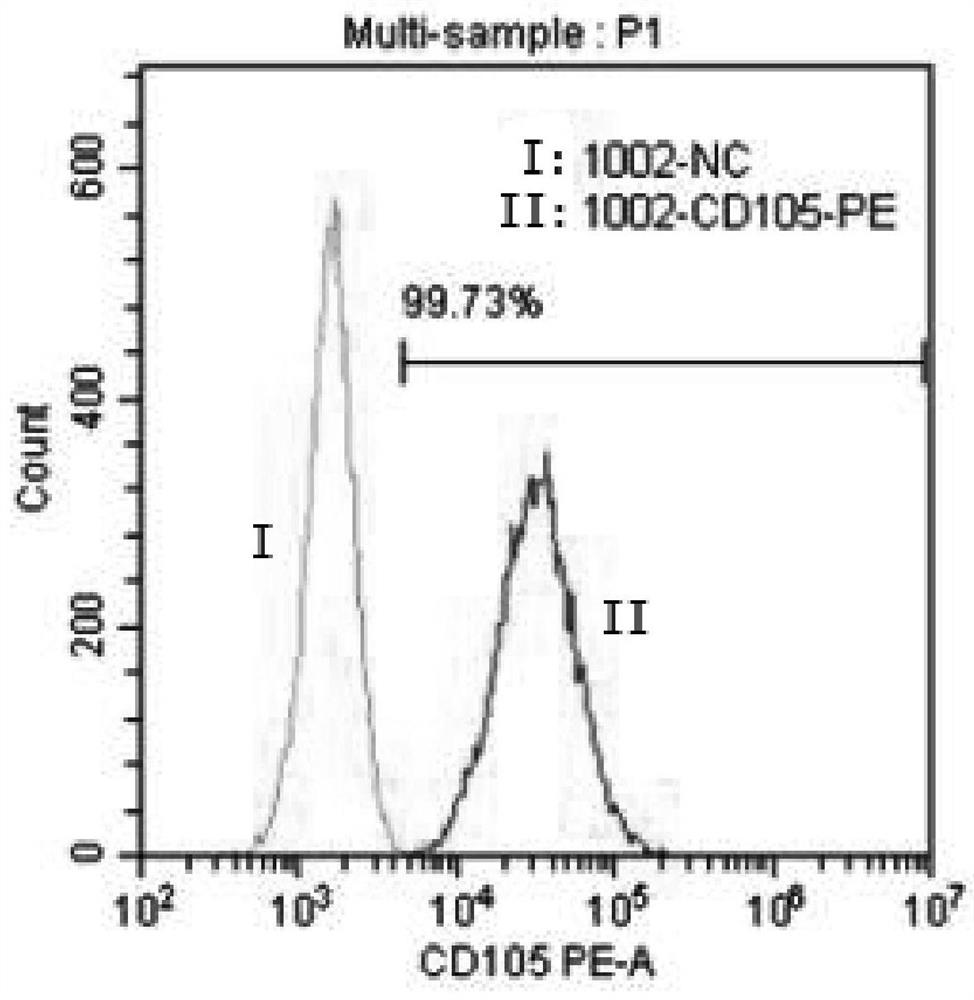 Clinical-level purification, separation, culture amplification and cryopreservation method of fat-derived mesenchymal stem cells