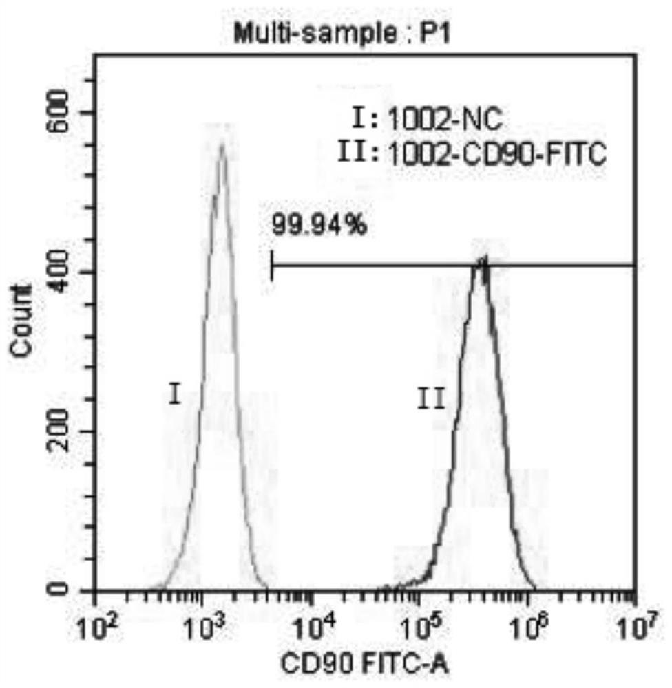 Clinical-level purification, separation, culture amplification and cryopreservation method of fat-derived mesenchymal stem cells