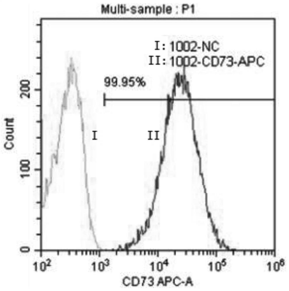 Clinical-level purification, separation, culture amplification and cryopreservation method of fat-derived mesenchymal stem cells