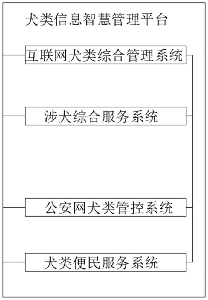 Dog information intelligent management platform and management method