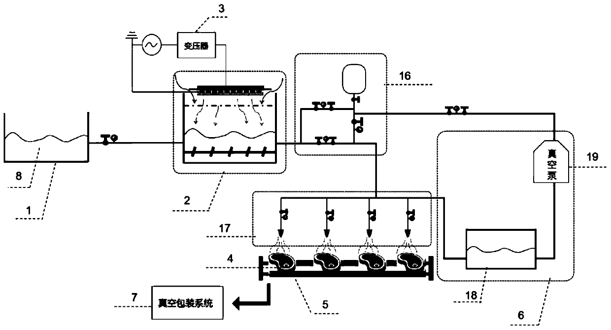 Plasma active water vacuum-packed red meat fresh keeping system and method