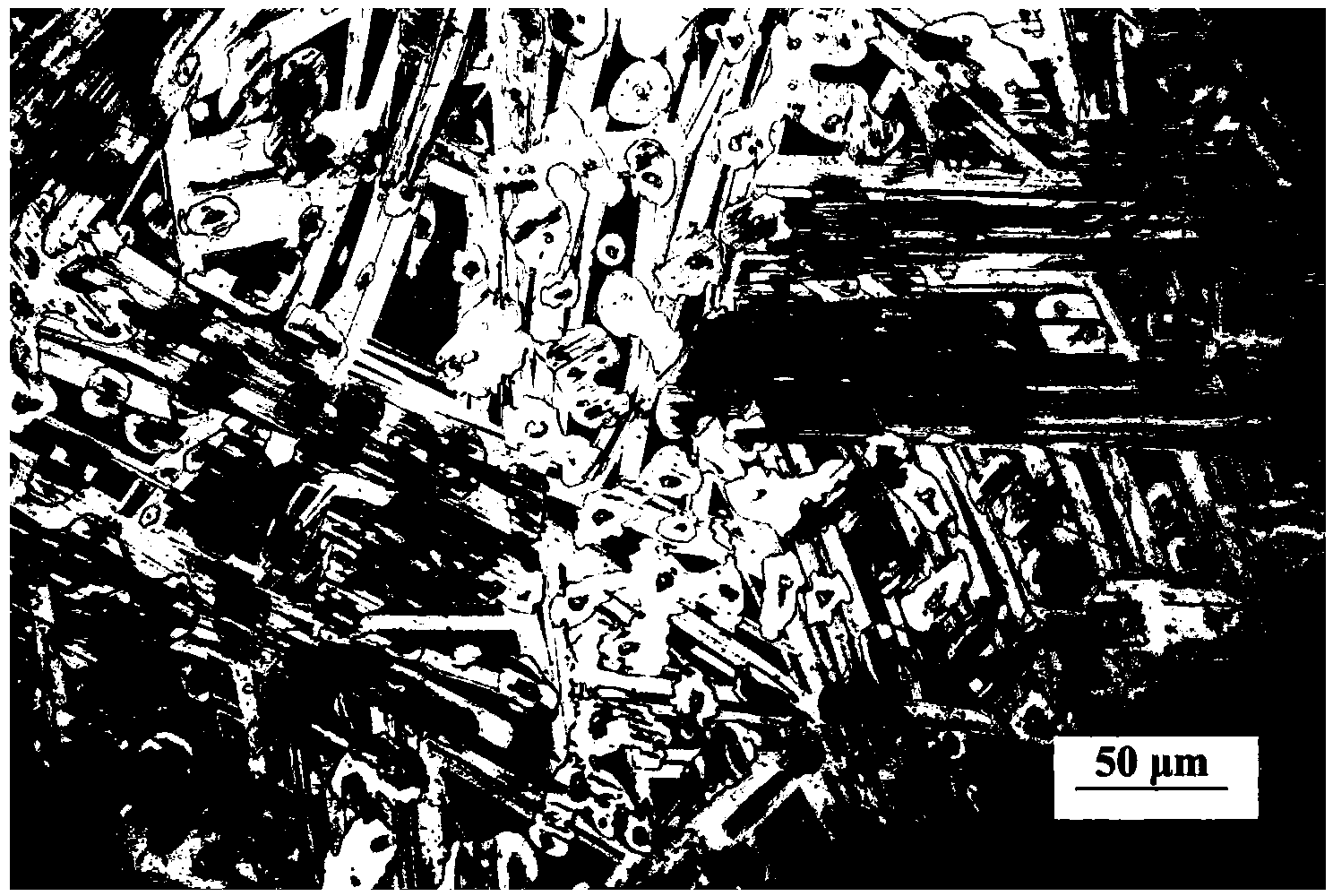 High-strength and high-plasticity magnesium alloy