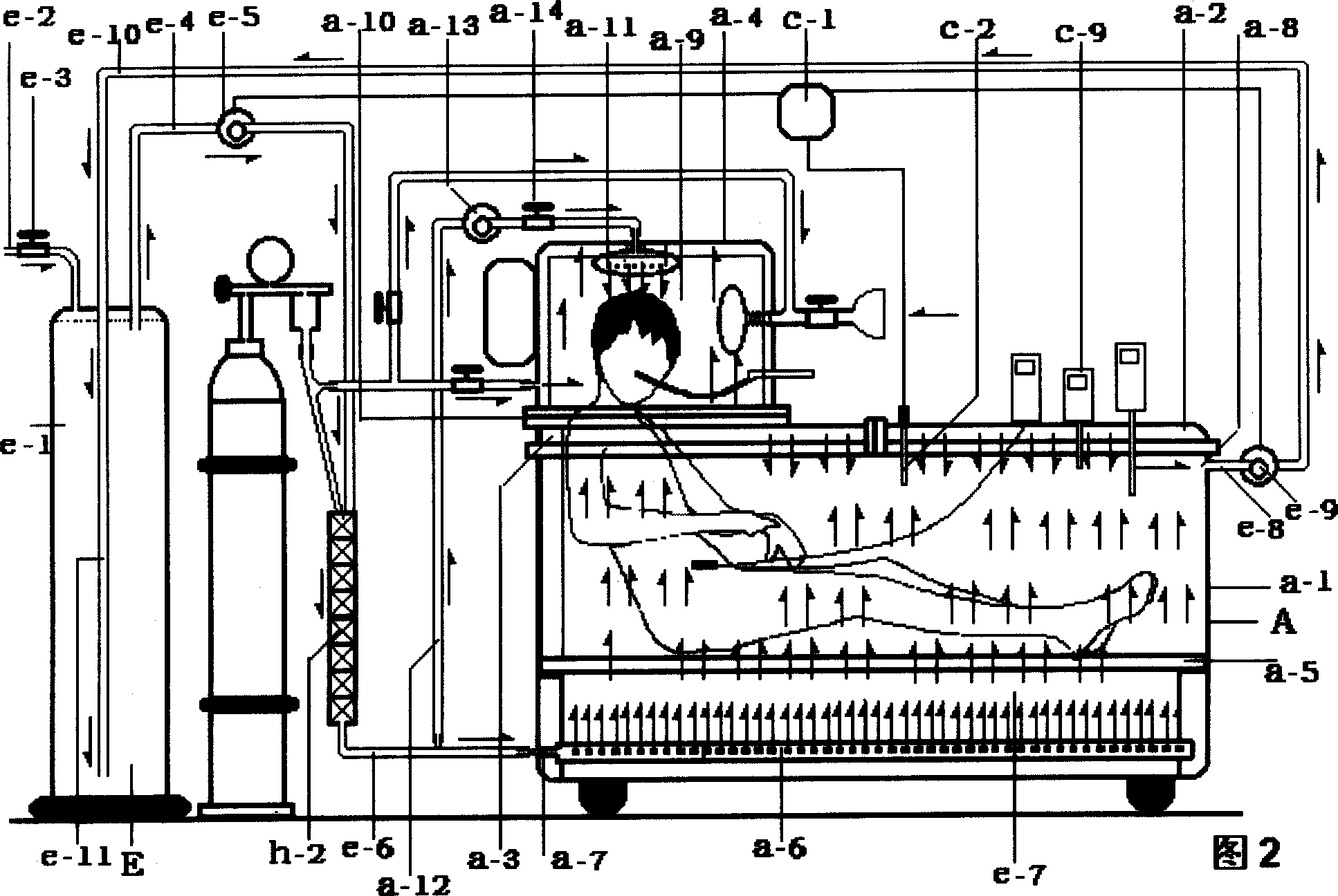 Ultra dissolving oxygen high pressure high temperature hot water facility for prevention and treatment of cancer