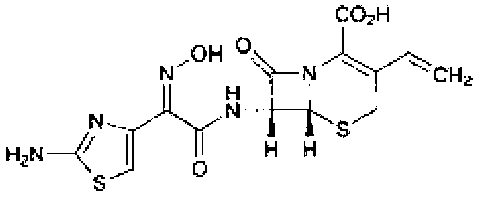 Cefdinir composition capsule and preparation method thereof