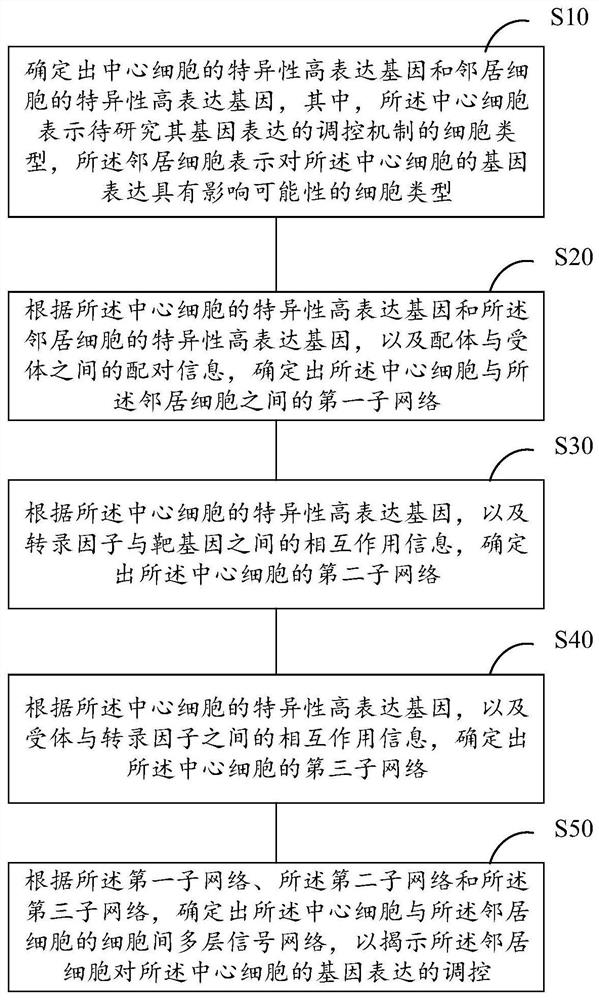 Method for determining gene expression regulation mechanism based on unicellular transcriptome data