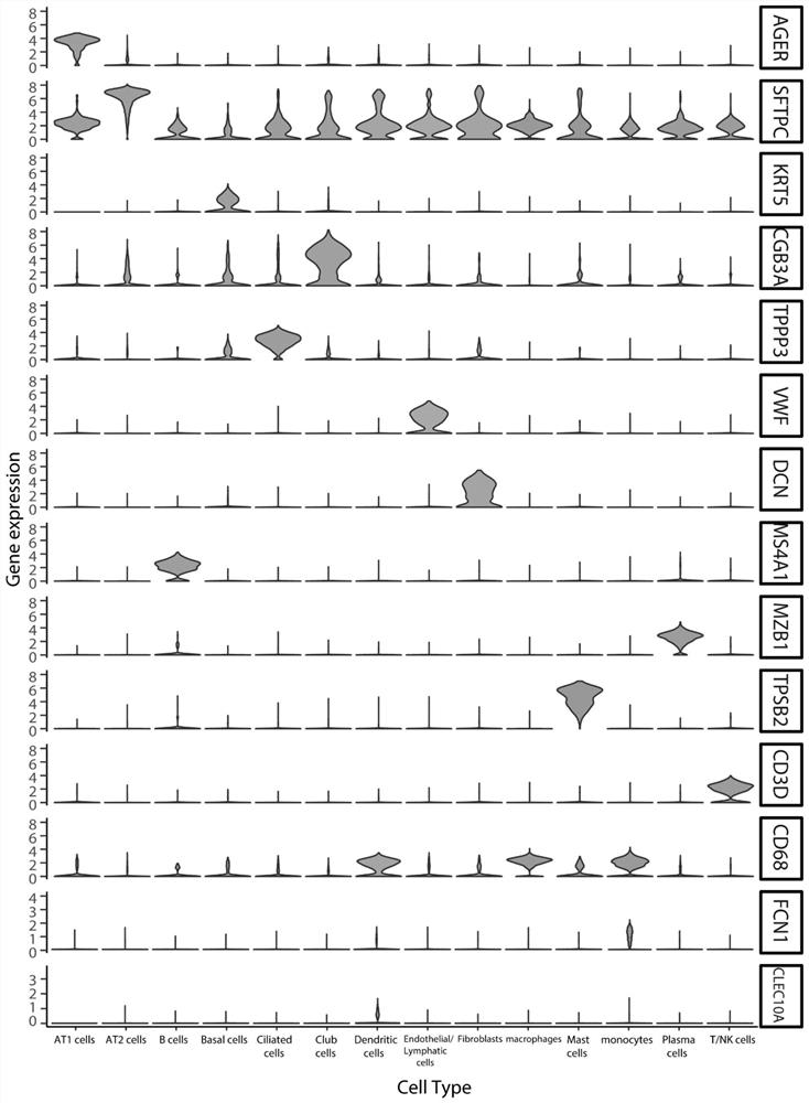 Method for determining gene expression regulation mechanism based on unicellular transcriptome data