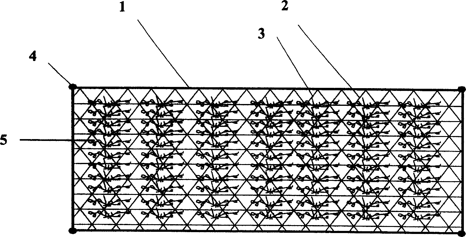 Floating island of plant and its construction method